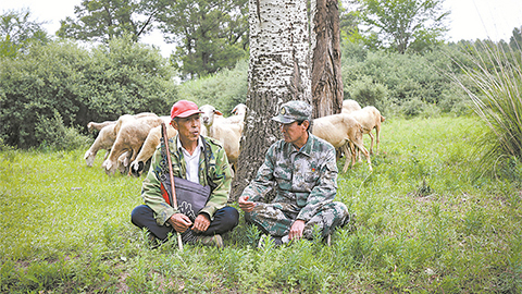 高清大圖｜塞北荒山，老兵播種“綠色夢”