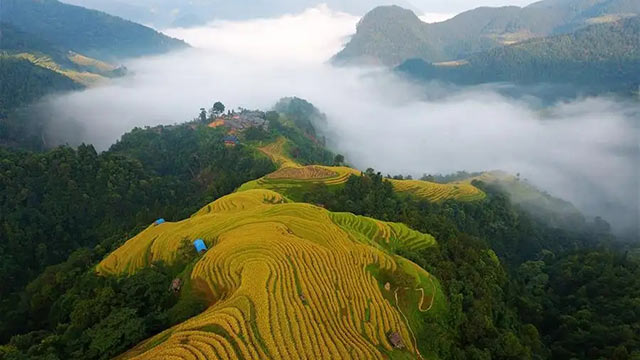 《領(lǐng)航》第10集 綠水青山